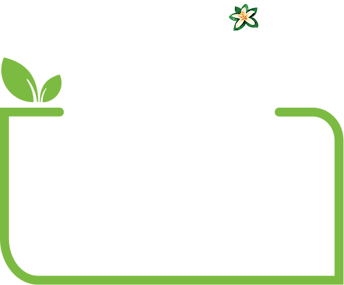 Florida's Natural Beverage Solutions